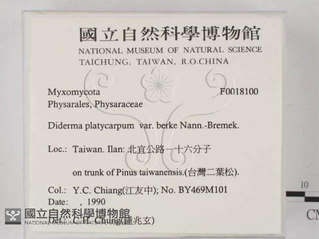 登錄號:F0018100藏品圖，第2張