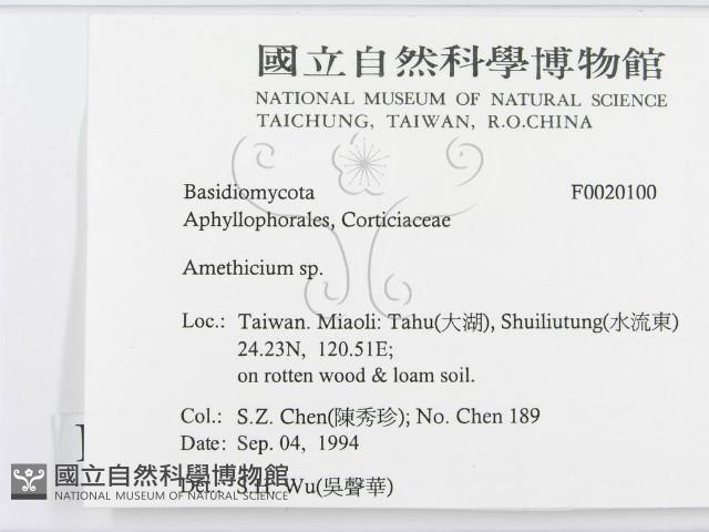 登錄號:F0020100藏品圖，第2張