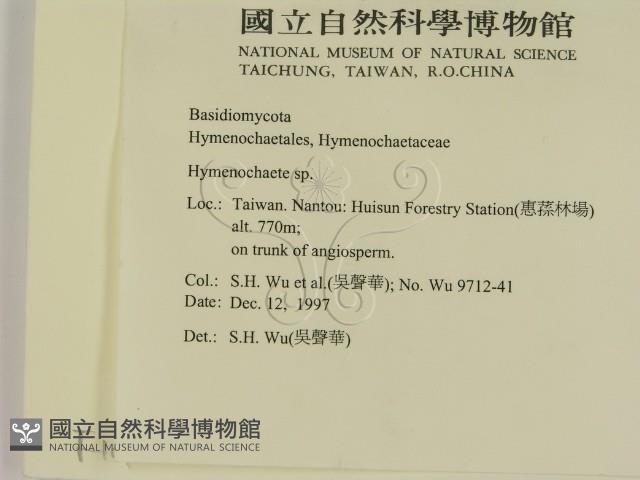 刺革菌屬藏品圖，第2張