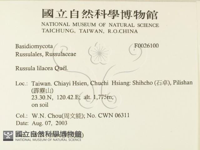 登錄號:F0026100藏品圖，第2張