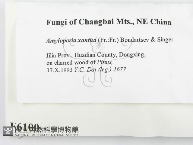 登錄號:F0006100藏品圖，第2張