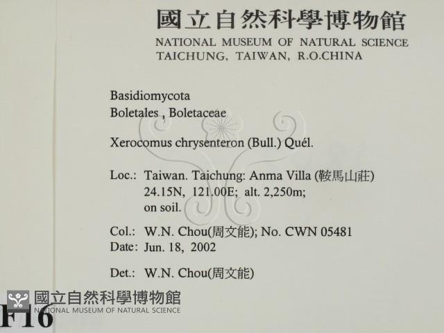 登錄號:F0016100藏品圖，第2張