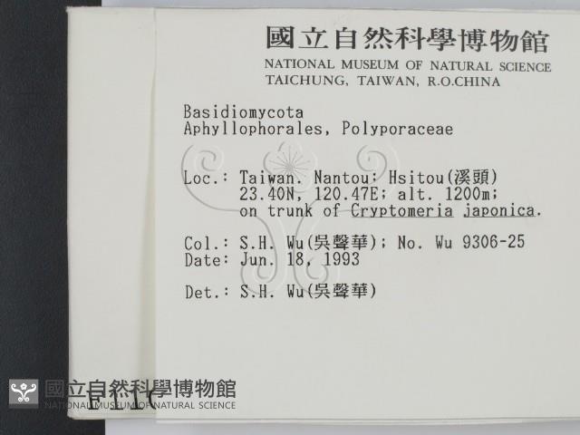 館號:F0001100藏品圖，第2張