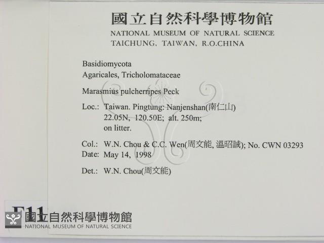 登錄號:F0011100藏品圖，第2張