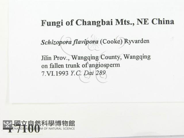 登錄號:F0007100藏品圖，第2張