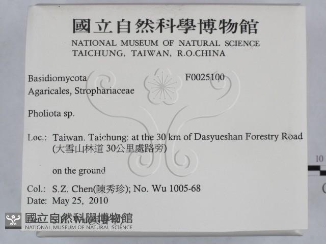 登錄號:F0025100藏品圖，第2張
