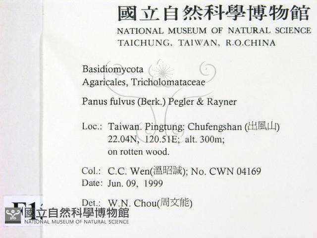 登錄號:F0013100藏品圖，第2張