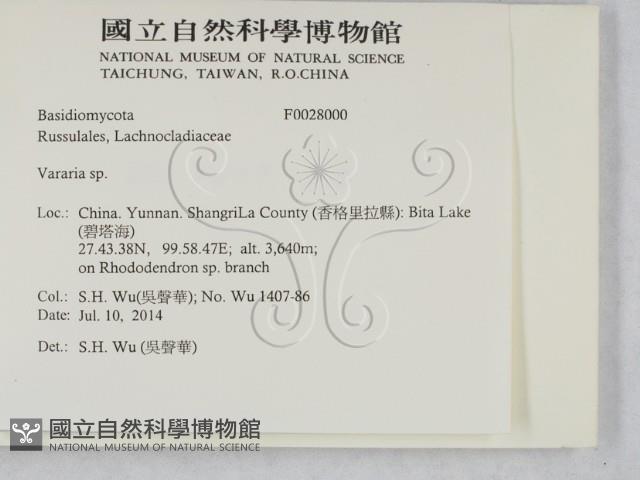 登錄號:F0028000藏品圖，第2張