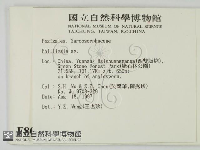 登錄號:F0008000藏品圖，第2張