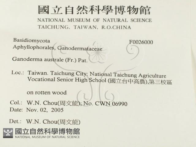 登錄號:F0026000藏品圖，第2張