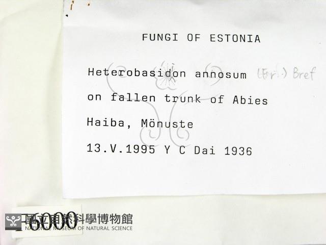 登錄號:F0006000藏品圖，第2張