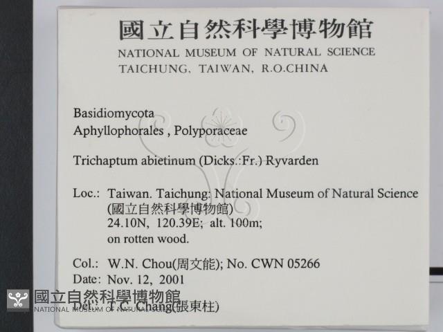 登錄號:F0016000藏品圖，第2張