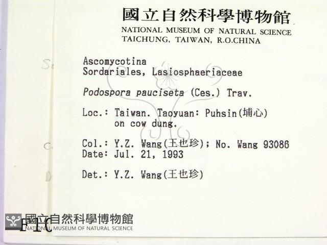 登錄號:F0001000藏品圖，第2張