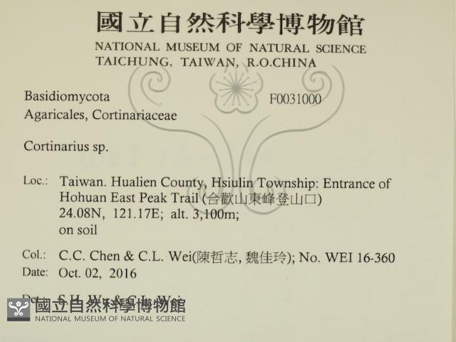 登錄號:F0031000藏品圖，第2張