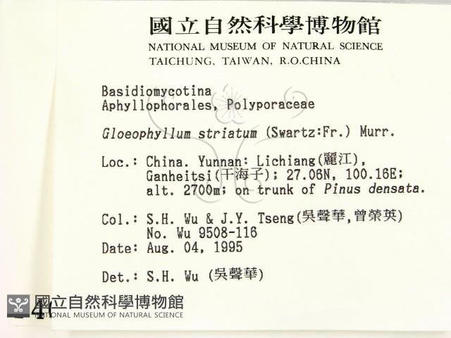 登錄號:F0004000藏品圖，第2張