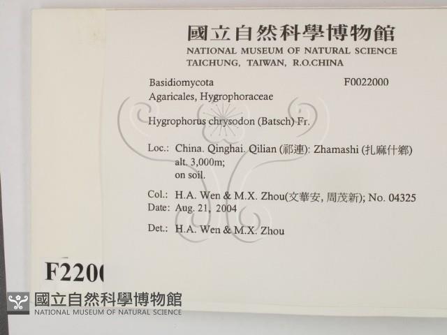 登錄號:F0022000藏品圖，第2張