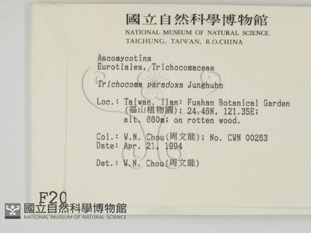 登錄號:F0002000藏品圖，第2張