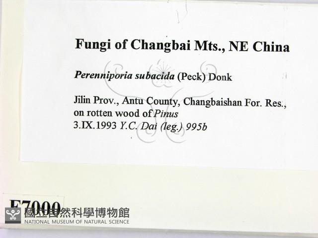 登錄號:F0007000藏品圖，第2張