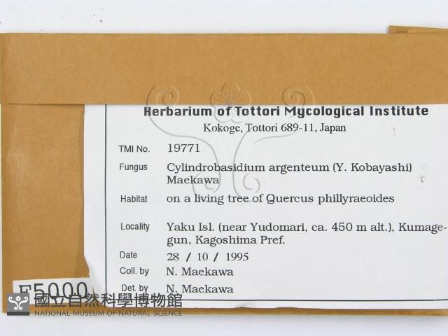 阿根廷柱擔菌藏品圖，第2張