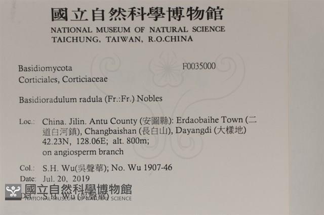 登錄號:F0035000藏品圖，第2張