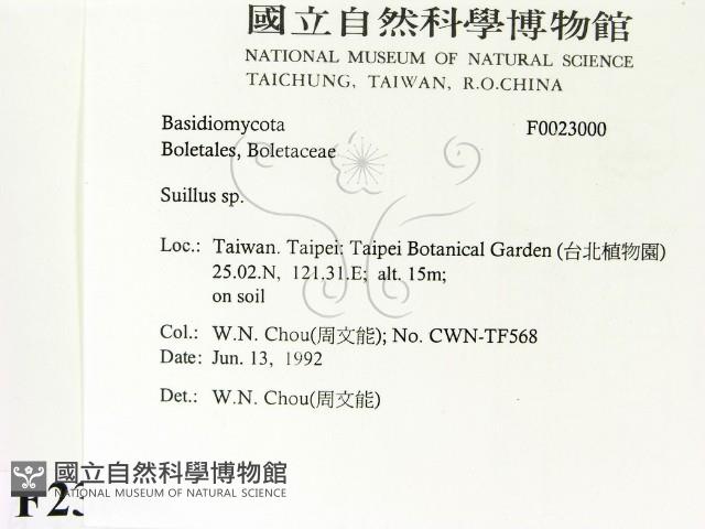 登錄號:F0023000藏品圖，第2張