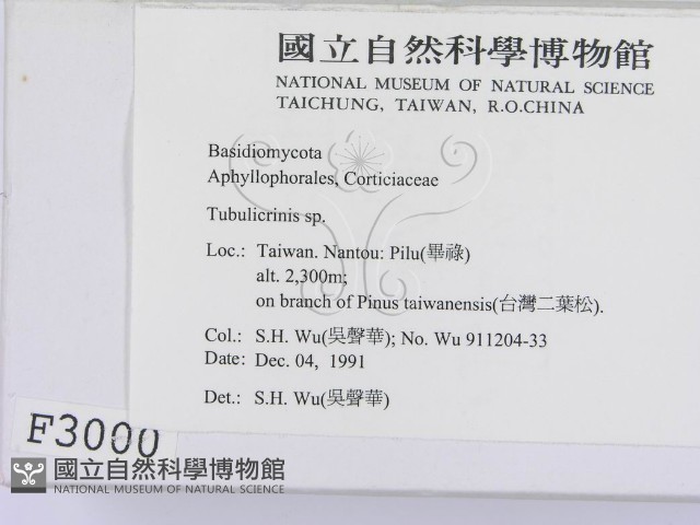 登錄號:F0003000藏品圖，第2張