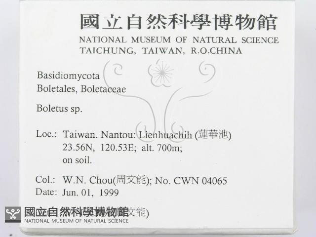 登錄號:F0013000藏品圖，第2張