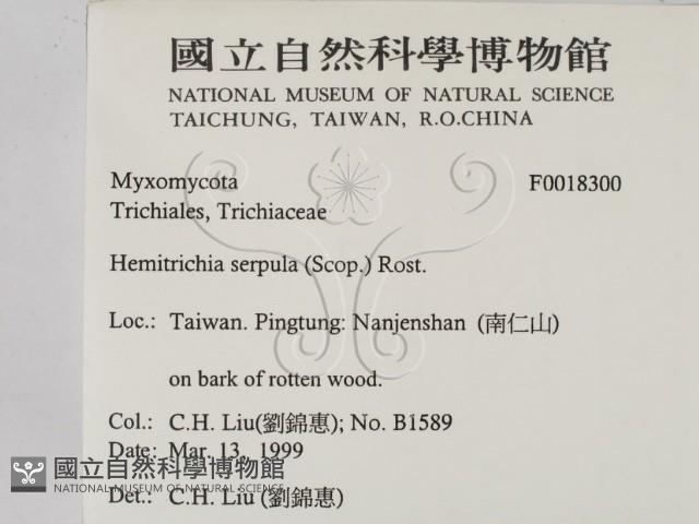 登錄號:F0018300藏品圖，第2張