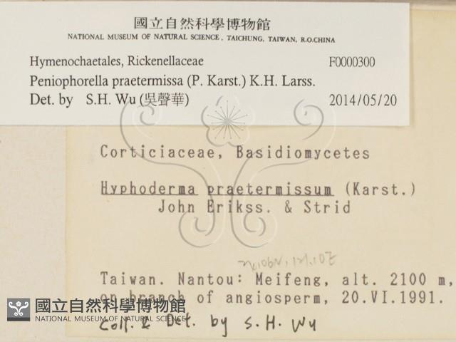 登錄號:F0000300藏品圖，第2張