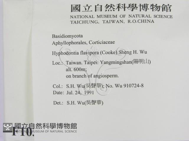 登錄號:F0010300藏品圖，第2張