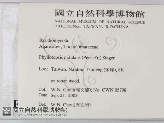 登錄號:F0016300藏品圖，第2張