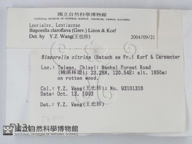 登錄號:F0001300藏品圖，第2張