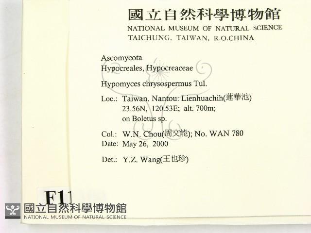 登錄號:F0011300藏品圖，第2張