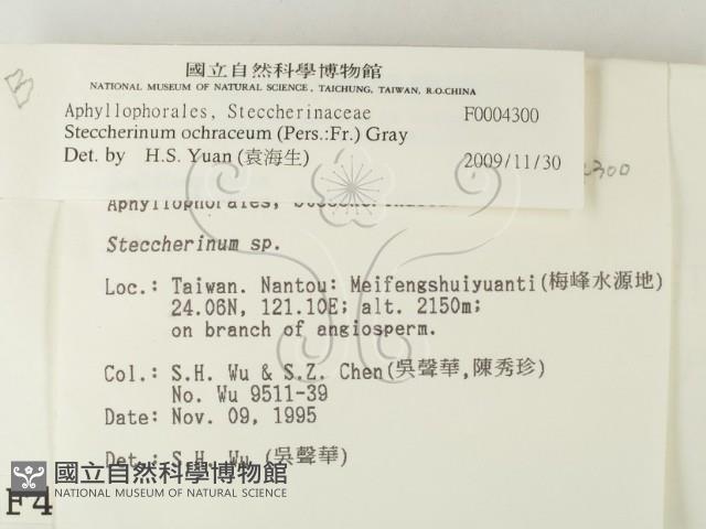 登錄號:F0004300藏品圖，第2張