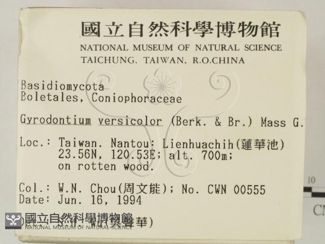 登錄號:F0002300藏品圖，第2張