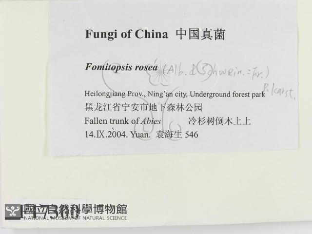 登錄號:F0017300藏品圖，第2張