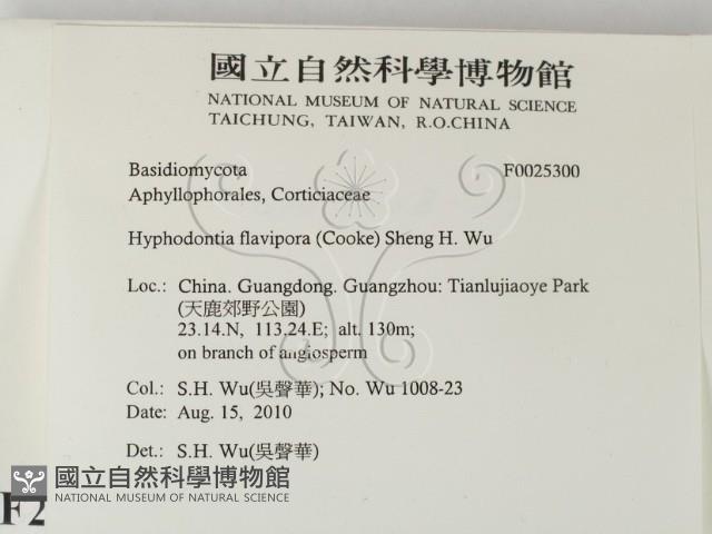 登錄號:F0025300藏品圖，第2張