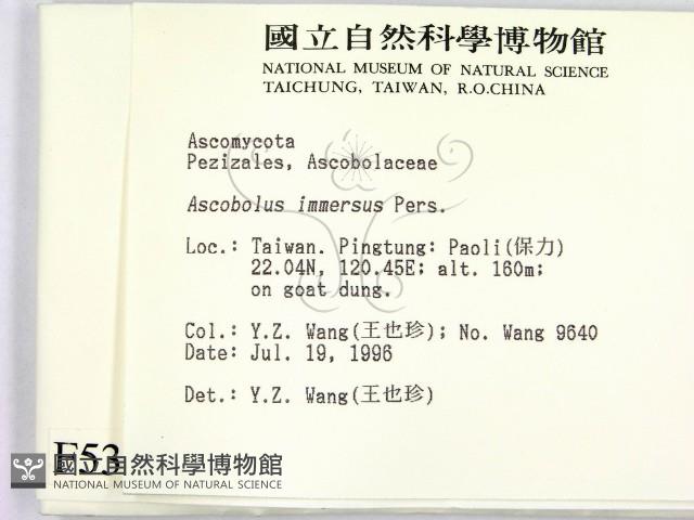 登錄號:F0005300藏品圖，第2張