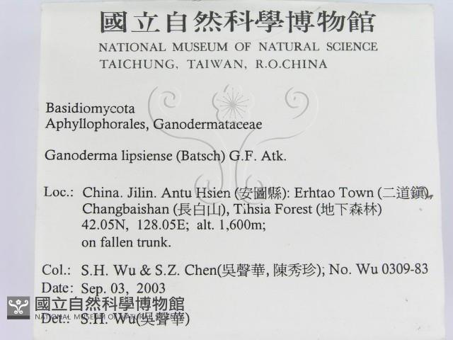 登錄號:F0015300藏品圖，第2張