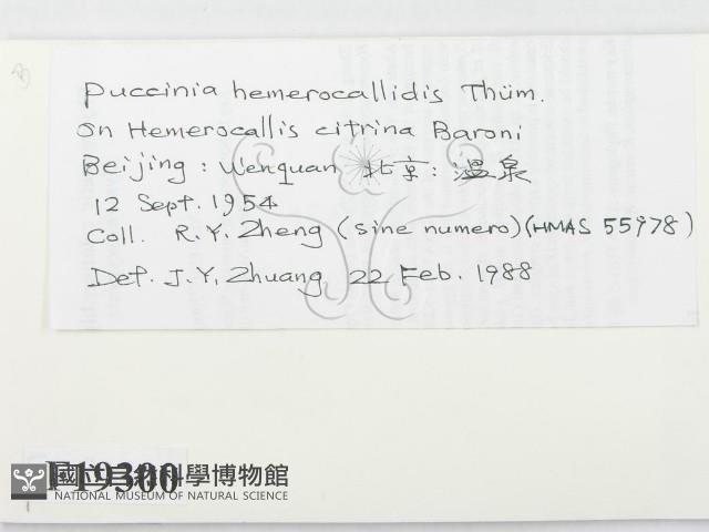 登錄號:F0019300藏品圖，第2張