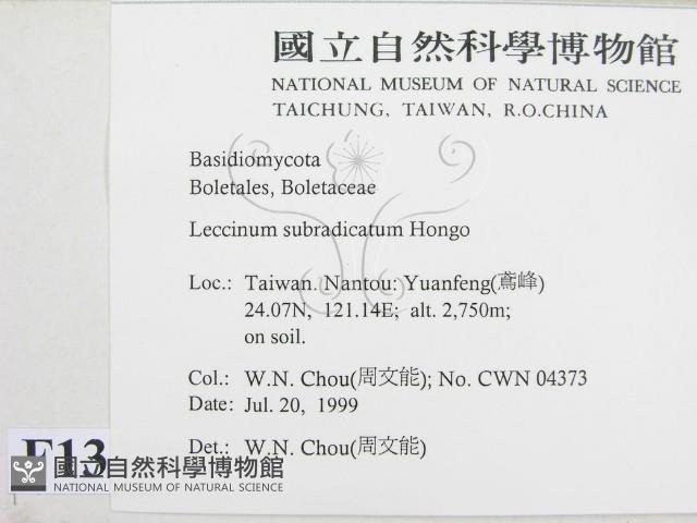 登錄號:F0013300藏品圖，第2張