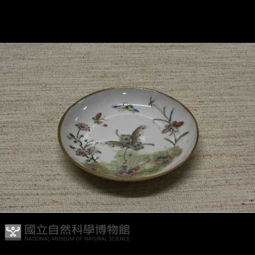 中盤藏品圖，第1張