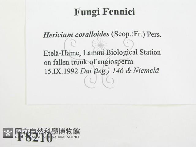 登錄號:F0008210藏品圖，第2張