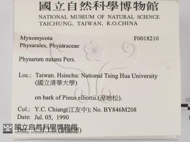 登錄號:F0018210藏品圖，第2張