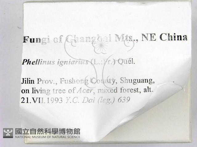 登錄號:F0006210藏品圖，第2張