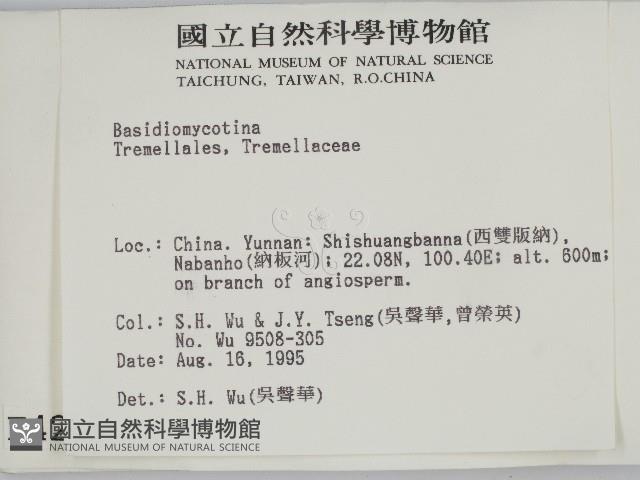 登錄號:F0004210藏品圖，第2張