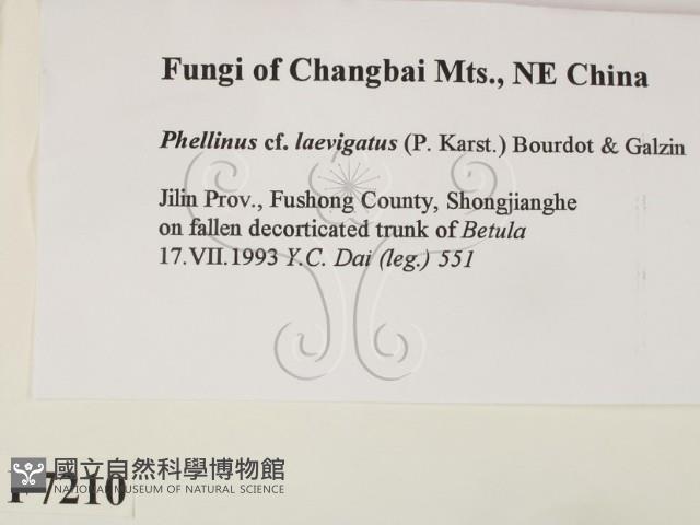 登錄號:F0007210藏品圖，第2張