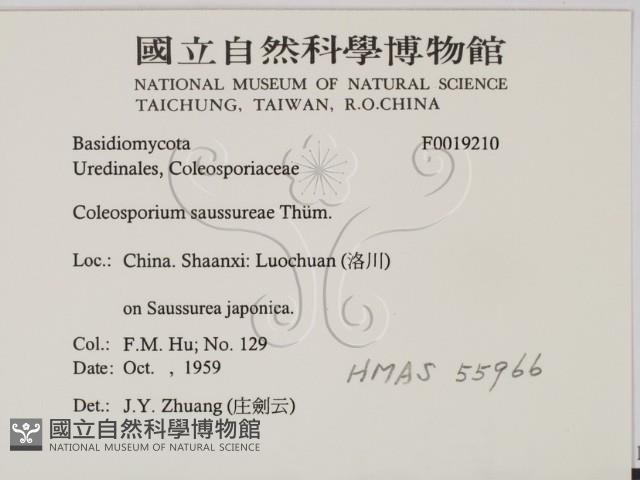 登錄號:F0019210藏品圖，第2張