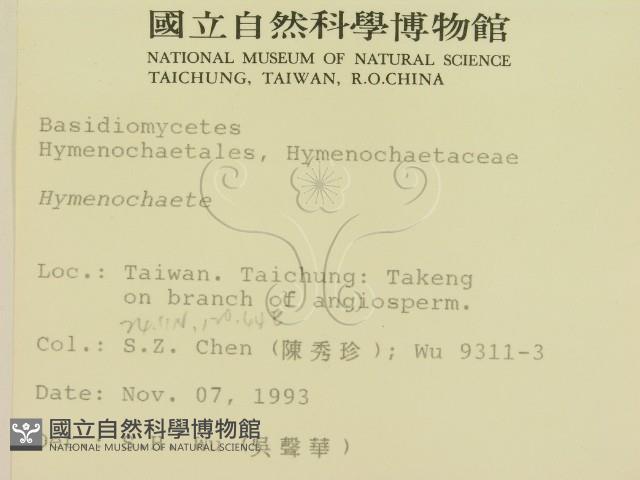 刺革菌屬藏品圖，第2張