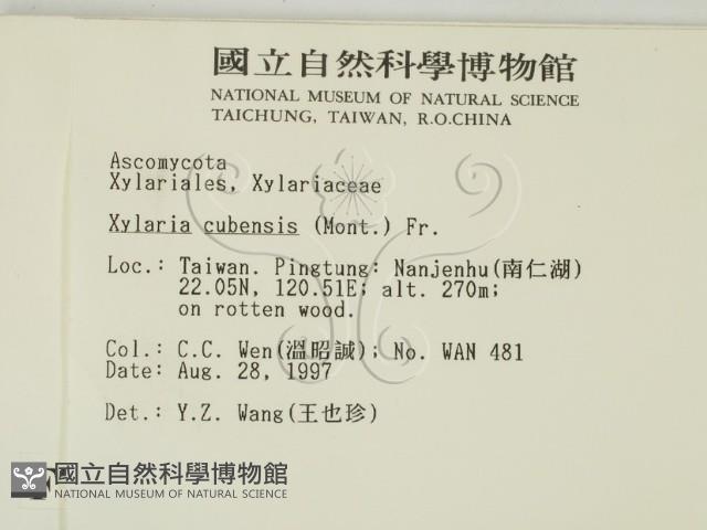 登錄號:F0007410藏品圖，第2張